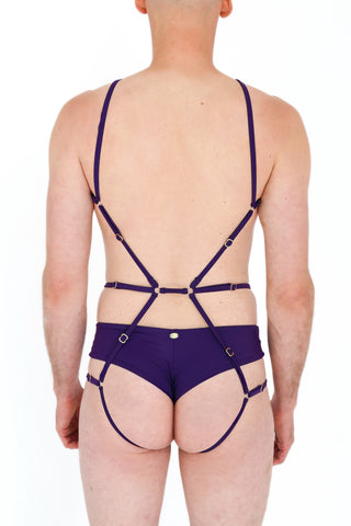 Ross Mens Pole Dance Shorts Sugar Plum